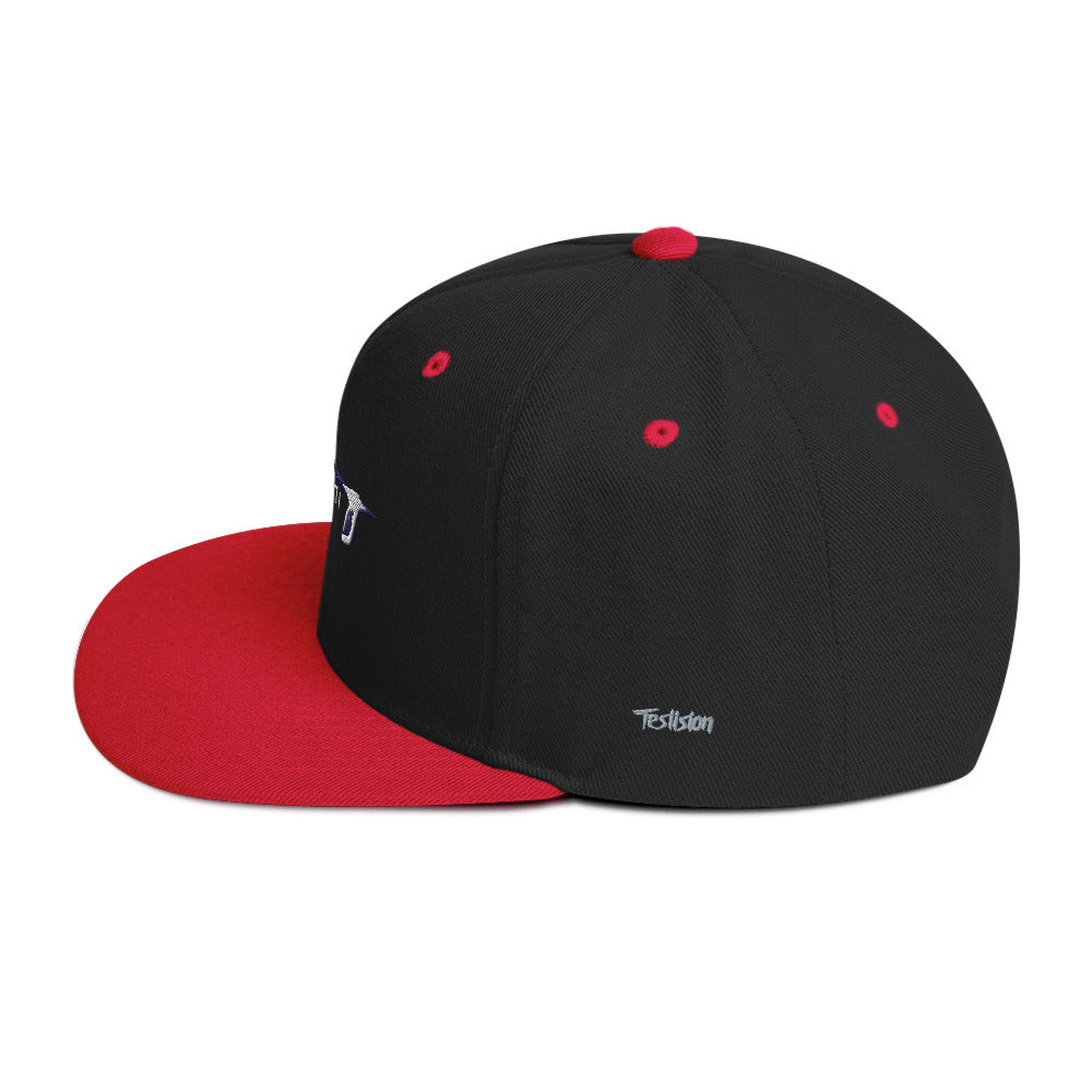 Semi Snapback Hat